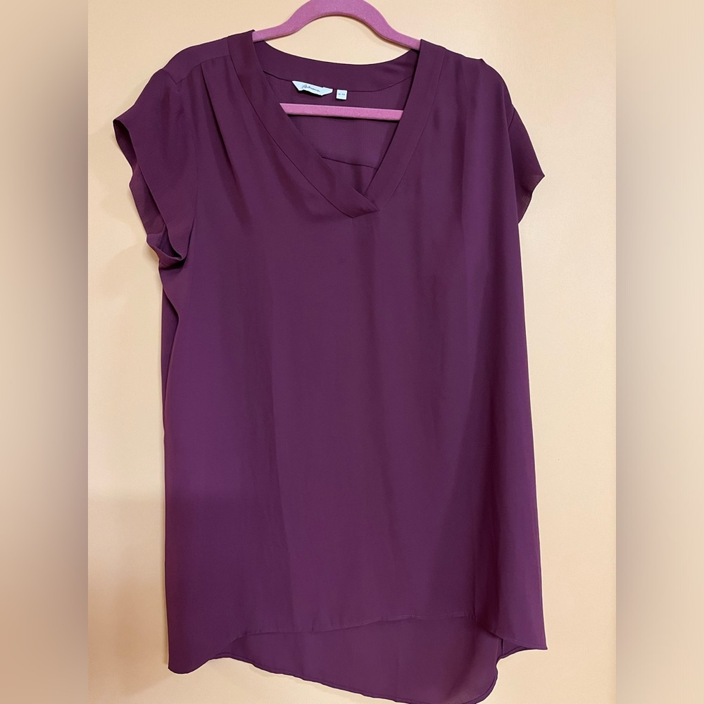 Reitmans Eggplant V-Neck Short Sleeve Tunic